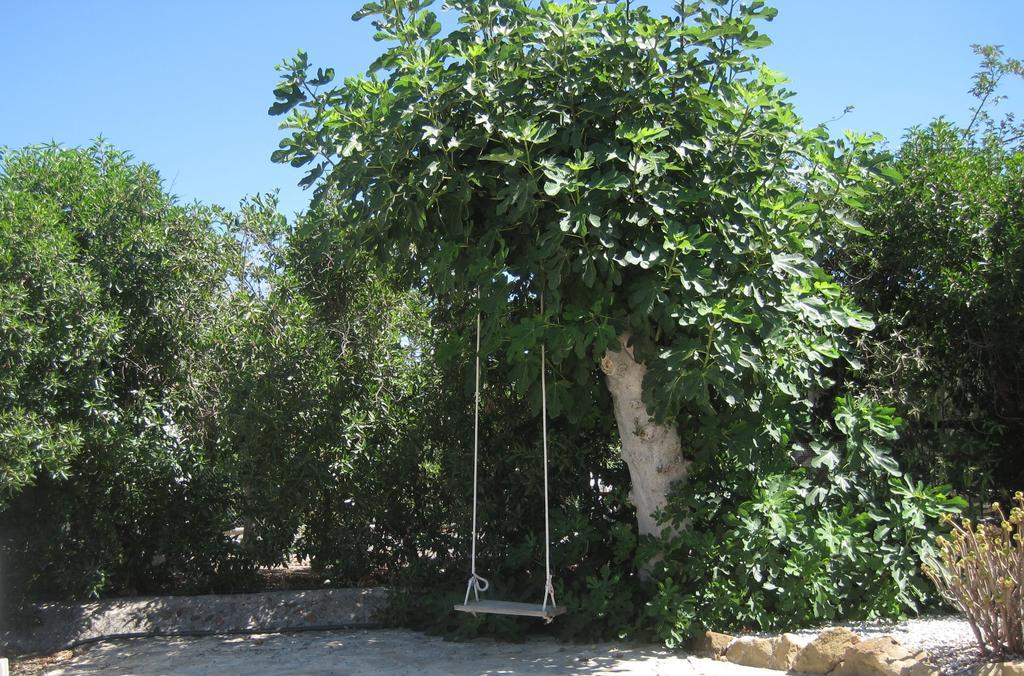 Finca Limon Ξενοδοχείο Pizarra Εξωτερικό φωτογραφία