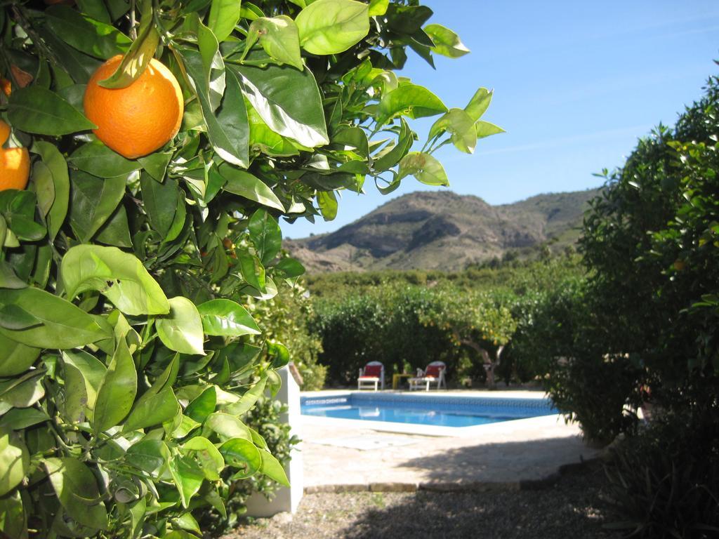 Finca Limon Ξενοδοχείο Pizarra Εξωτερικό φωτογραφία